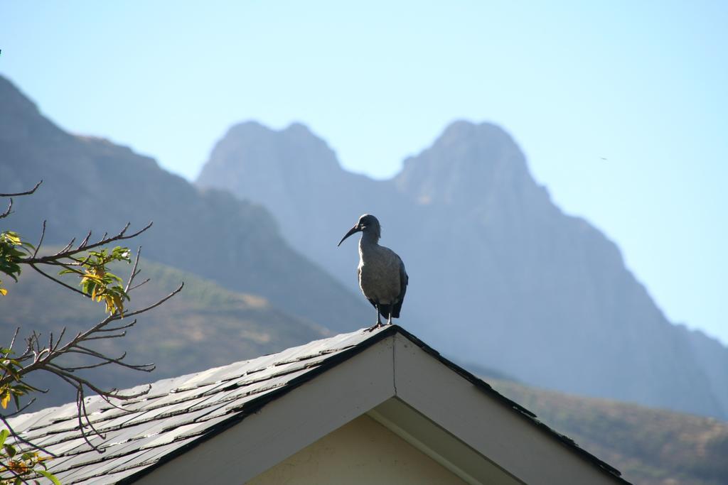 Keren'S Vine Guesthouse Stellenbosch Exteriör bild