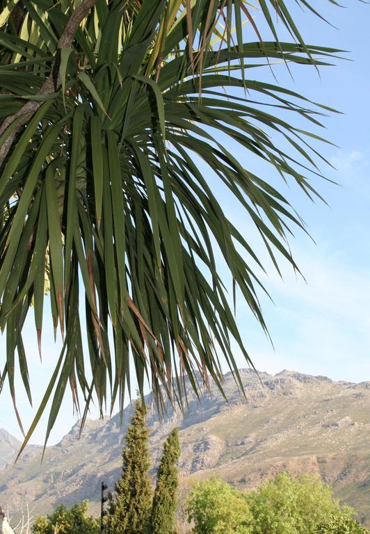 Keren'S Vine Guesthouse Stellenbosch Exteriör bild